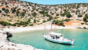 Semi Private Morning Cruise photo