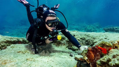 Μάθετε τα βασικά της αυτόνομης κατάδυσης μέσω της ανάπτυξη