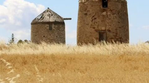 Mills