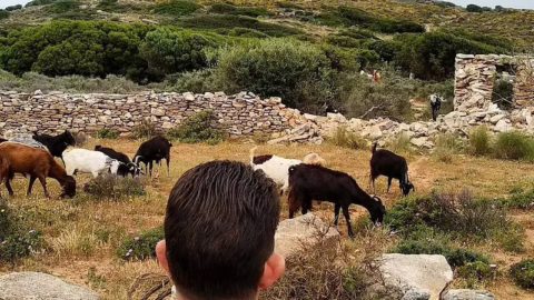 "Mount of Zeus, Protector of the Sheep"