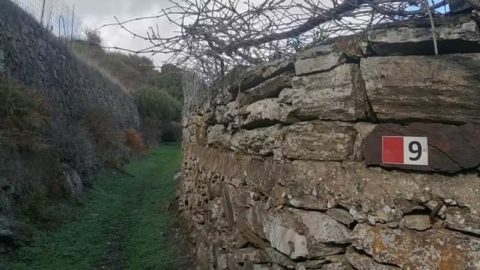 Το μονοπάτι με τον αριθμό 9