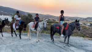 Main photo for Ιππασία για Αρχάριους και Έμπειρους Αναβάτες. Το Πρωί ή στο Ηλιοβασίλεμα στην Κακάπετρα Πάρου