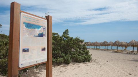 Important insights for enjoying the tranquil shores