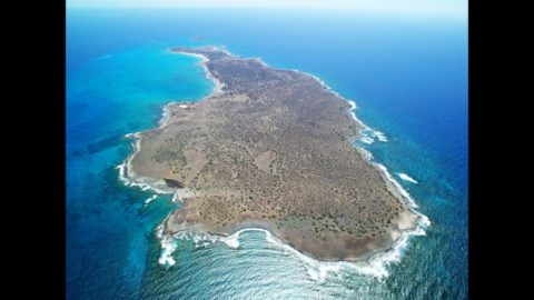Bird's eye view of Chrissi island's stunning coastline