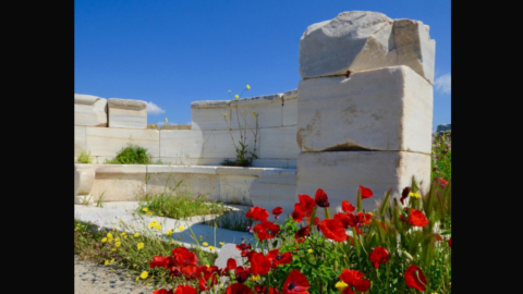 Ένα άνετο και ευρύχωρο αρχαίο καθιστικό