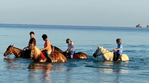 Απολαύστε τη βόλτα με τους φίλους σας