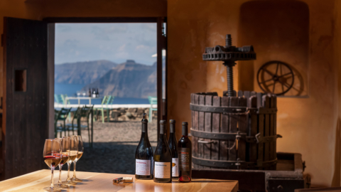 Different local wines ready for tasting