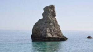  local organic wine, beer, or ouzo