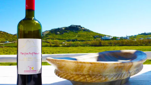 Γευσιγνωσία τριών βιολογικών κρασιών με συνοδεία τυριού και ελιών