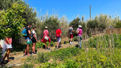 Αγαπάμε όλα τα απλά πράγματα και o,τι είναι φυσικό