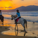 Santorini Horse Riding