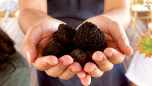 Freshly found Naxian truffles