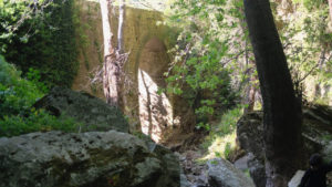A view of the forest where you may just find some truffles if you're lucky