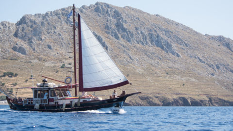 Alma Libre in Full Sail