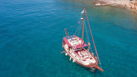 Aerial View of Alma Libre