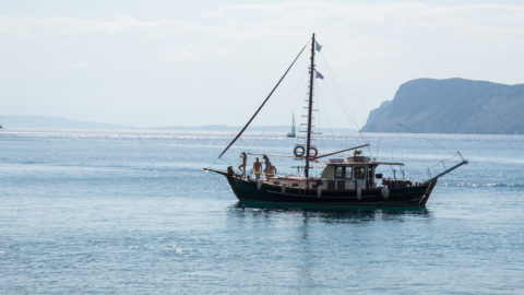 Sailing Alma Libre