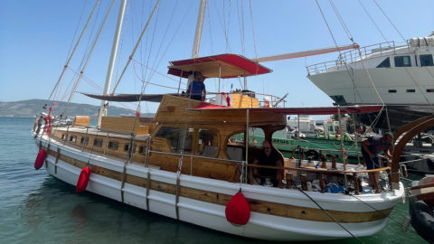 Side view of 'Wonderful' showcasing its classic design