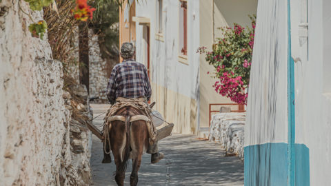 A villager returning home on a donkey