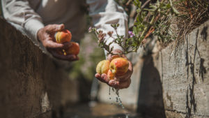 Washing the fresh fruit at an irrigation channel