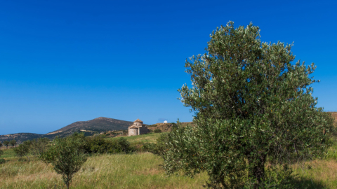 Get to know the nature of Naxos